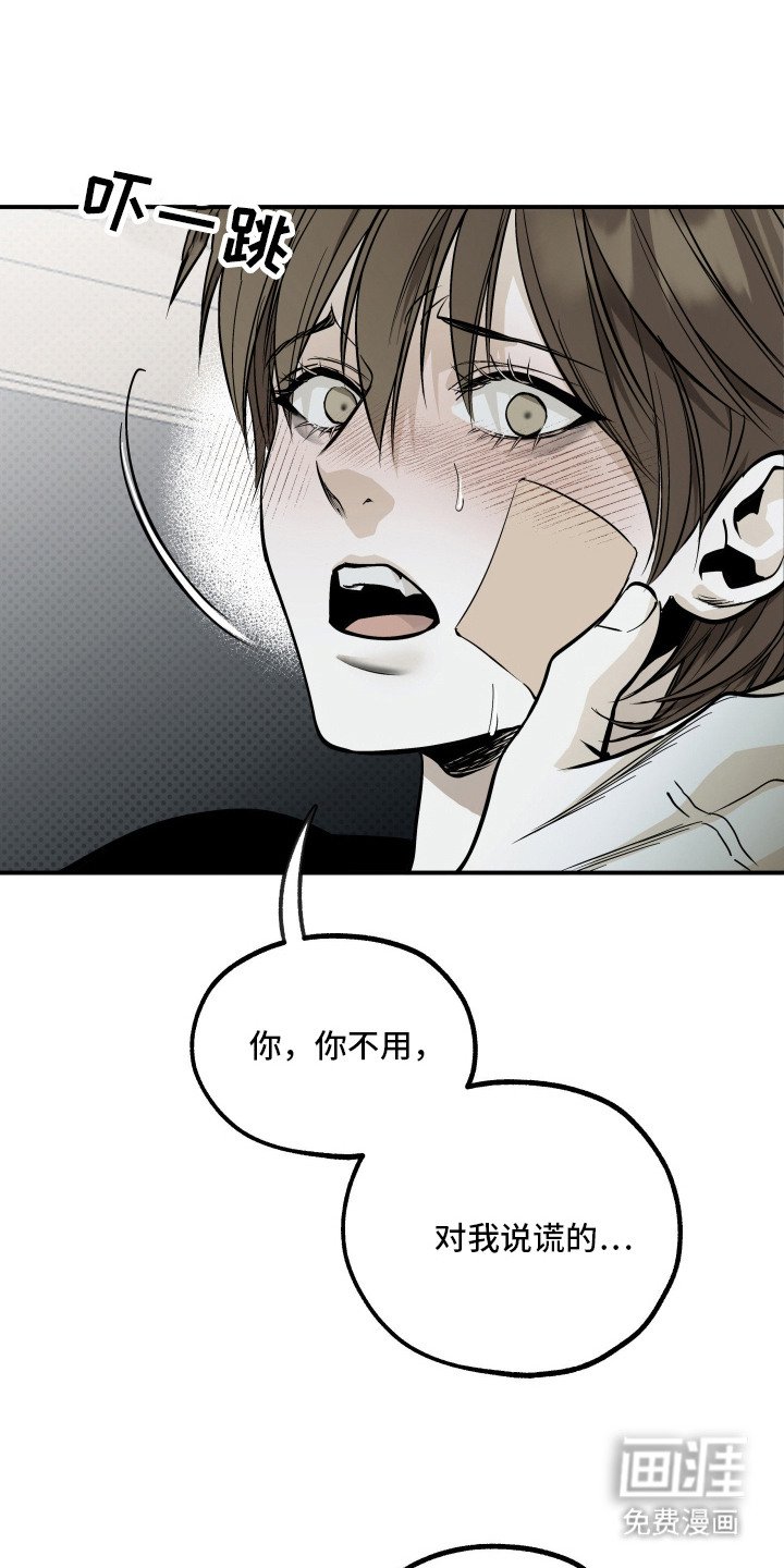 第14章：仔细看看