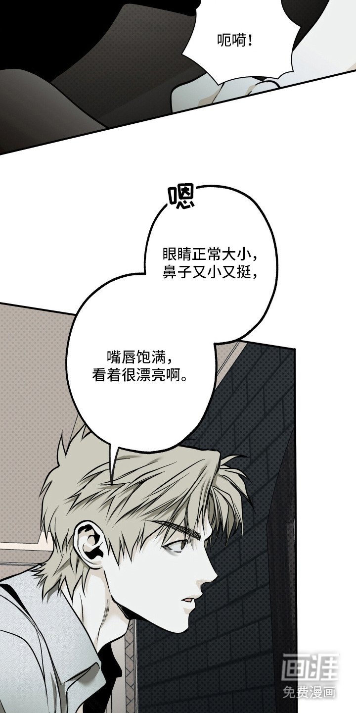 第14章：仔细看看