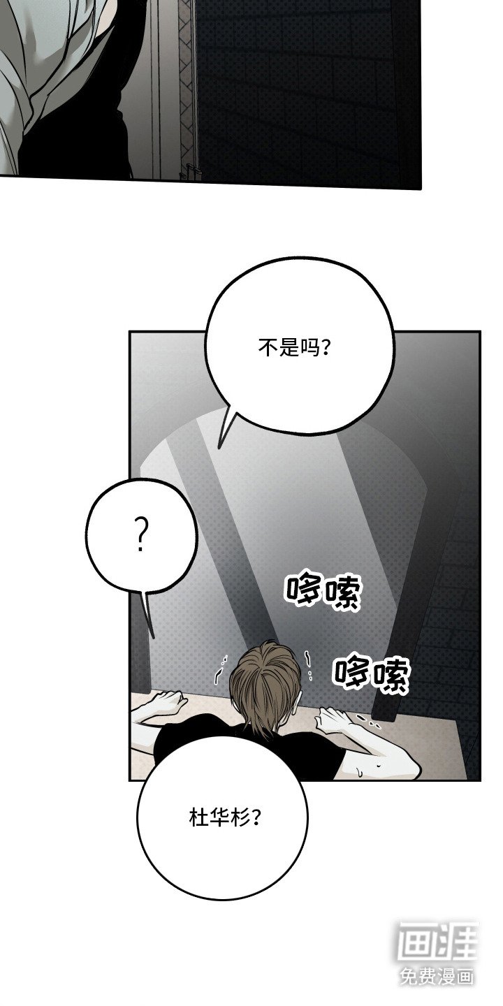 第14章：仔细看看