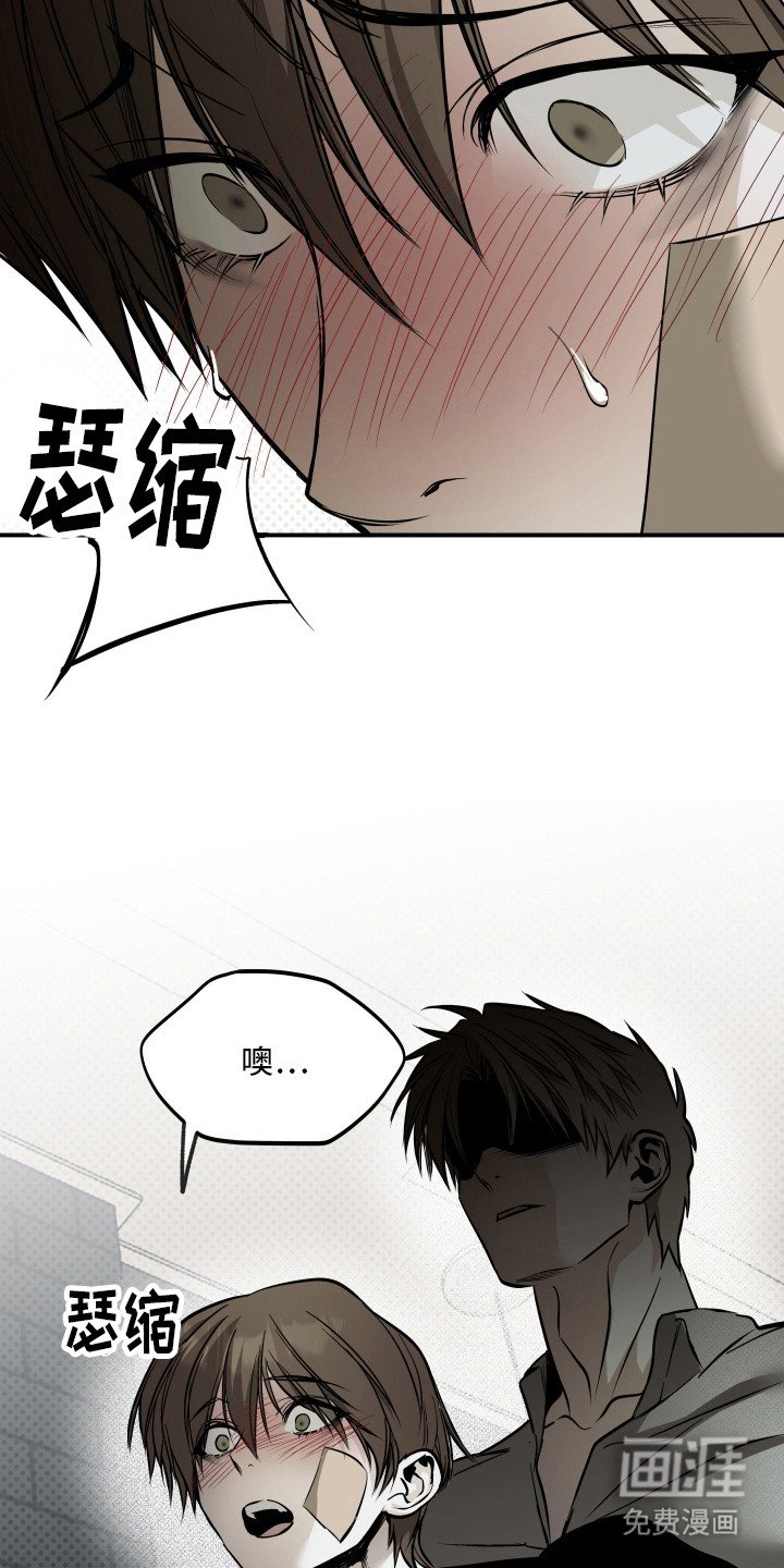 第14章：仔细看看