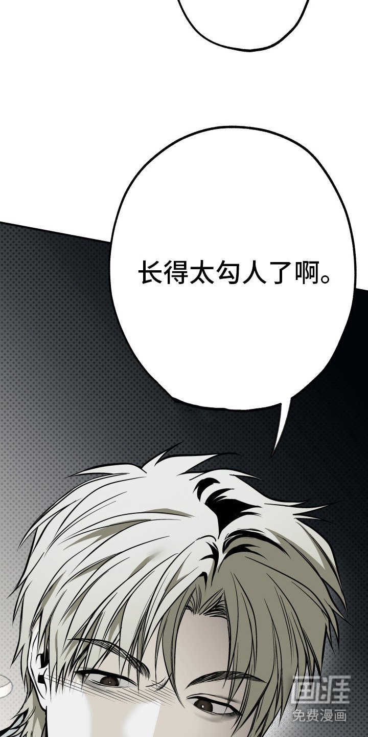 第14章：仔细看看