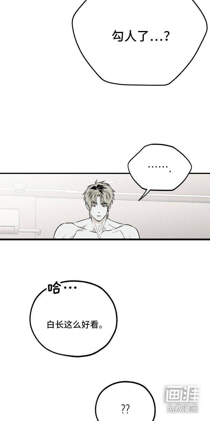第14章：仔细看看