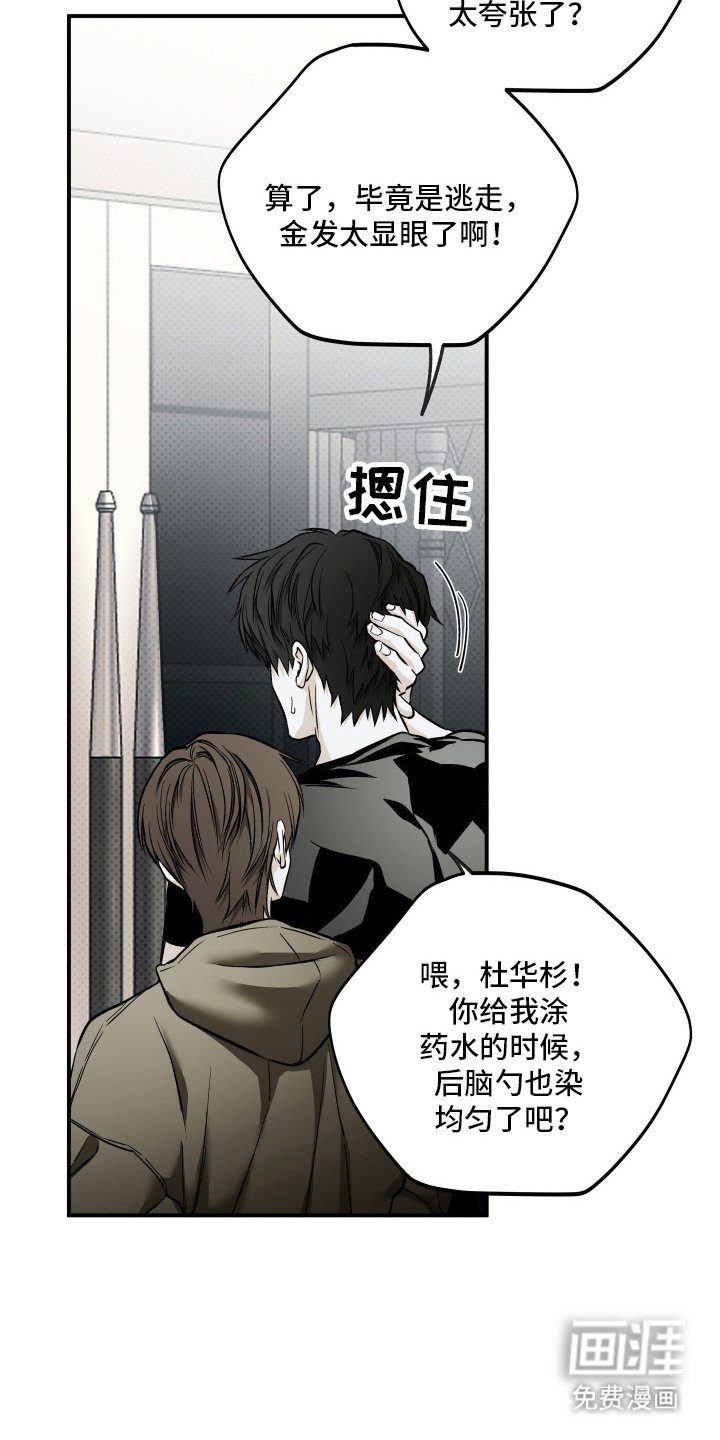 第16章：依旧美丽（完结）