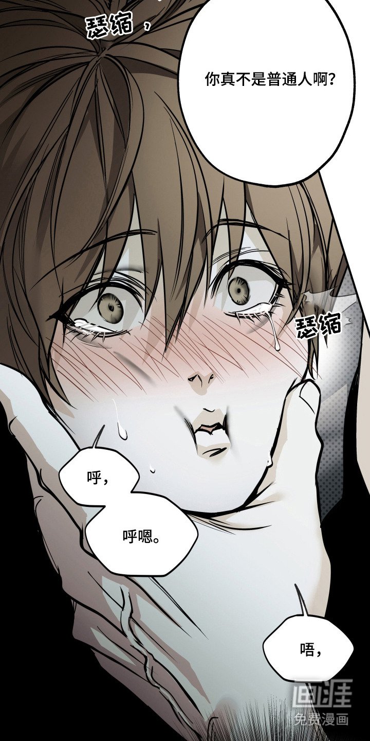 第7章：担心