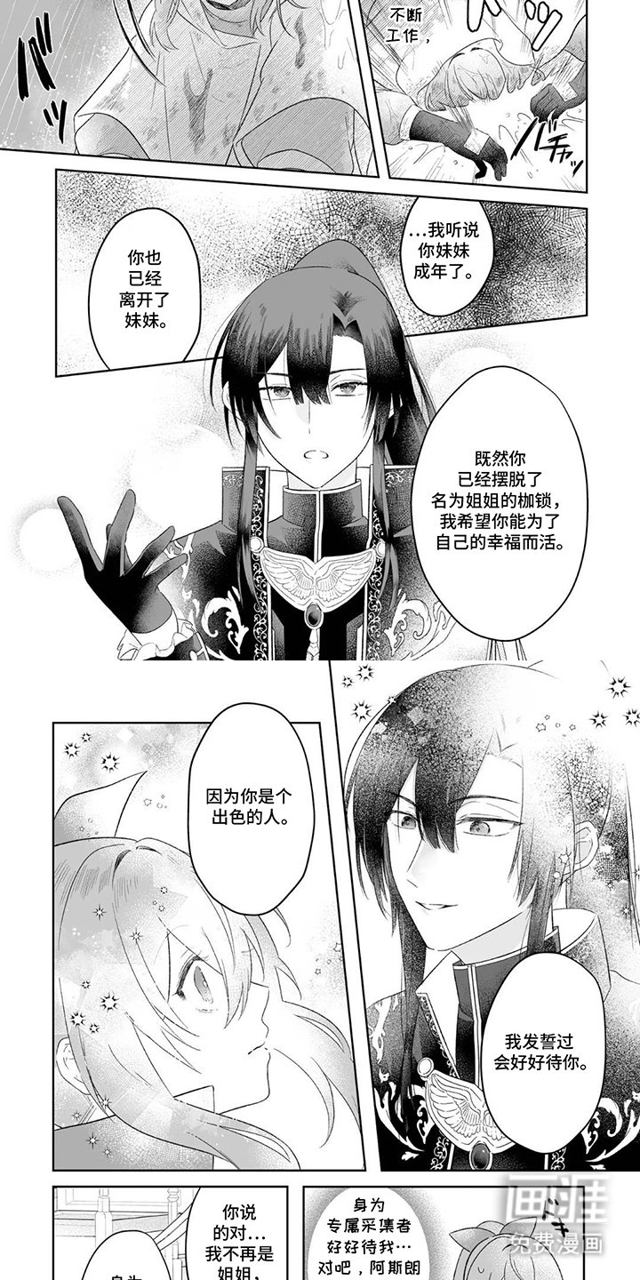 第11章：越陷越深