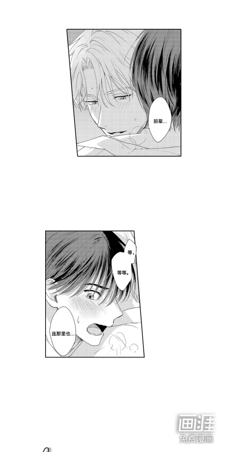 第4章：随时抽查