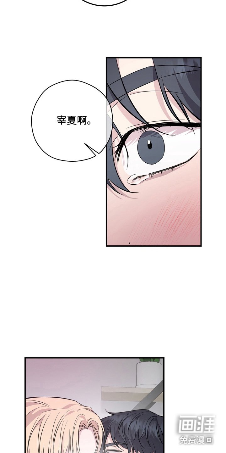 第12章：好的主人（完结）