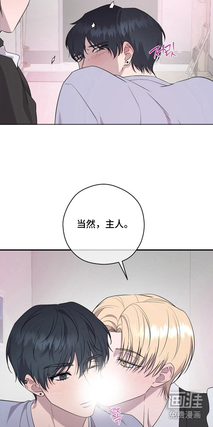 第12章：好的主人（完结）