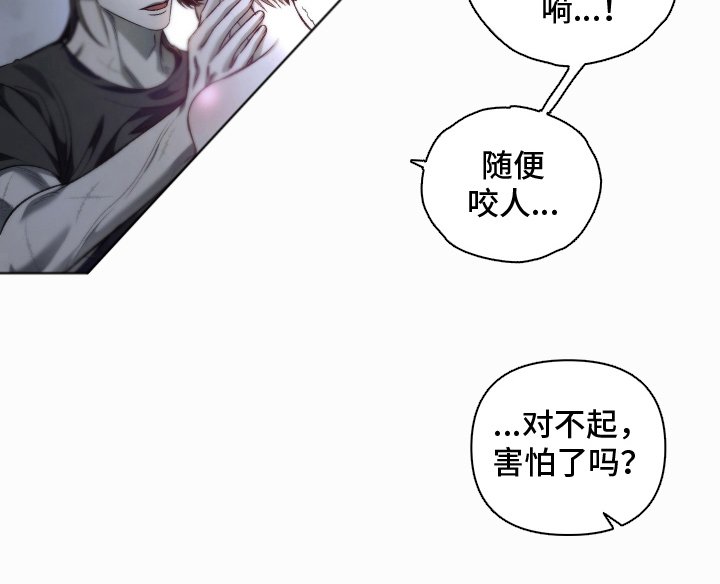 第19章：不要