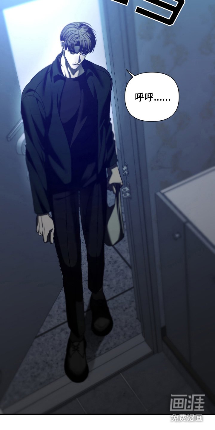 第5章：笨蛋