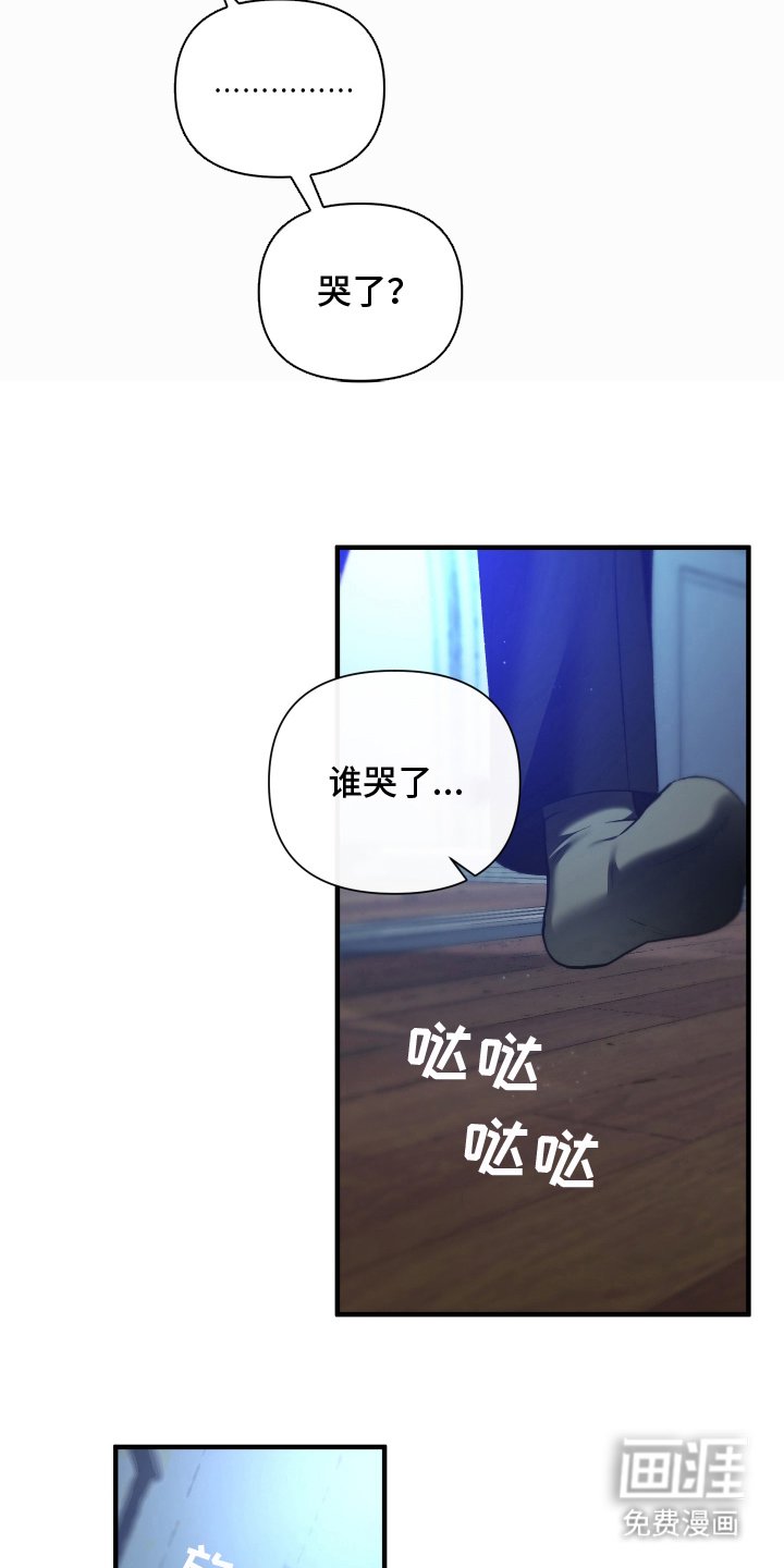第5章：笨蛋