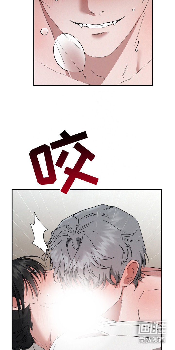 第11章：搜捕