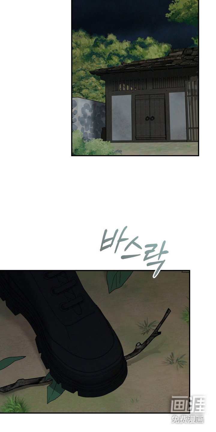 第11章：搜捕