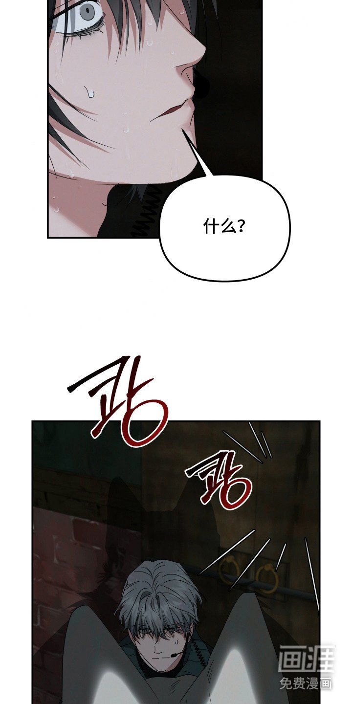 第3章：感染
