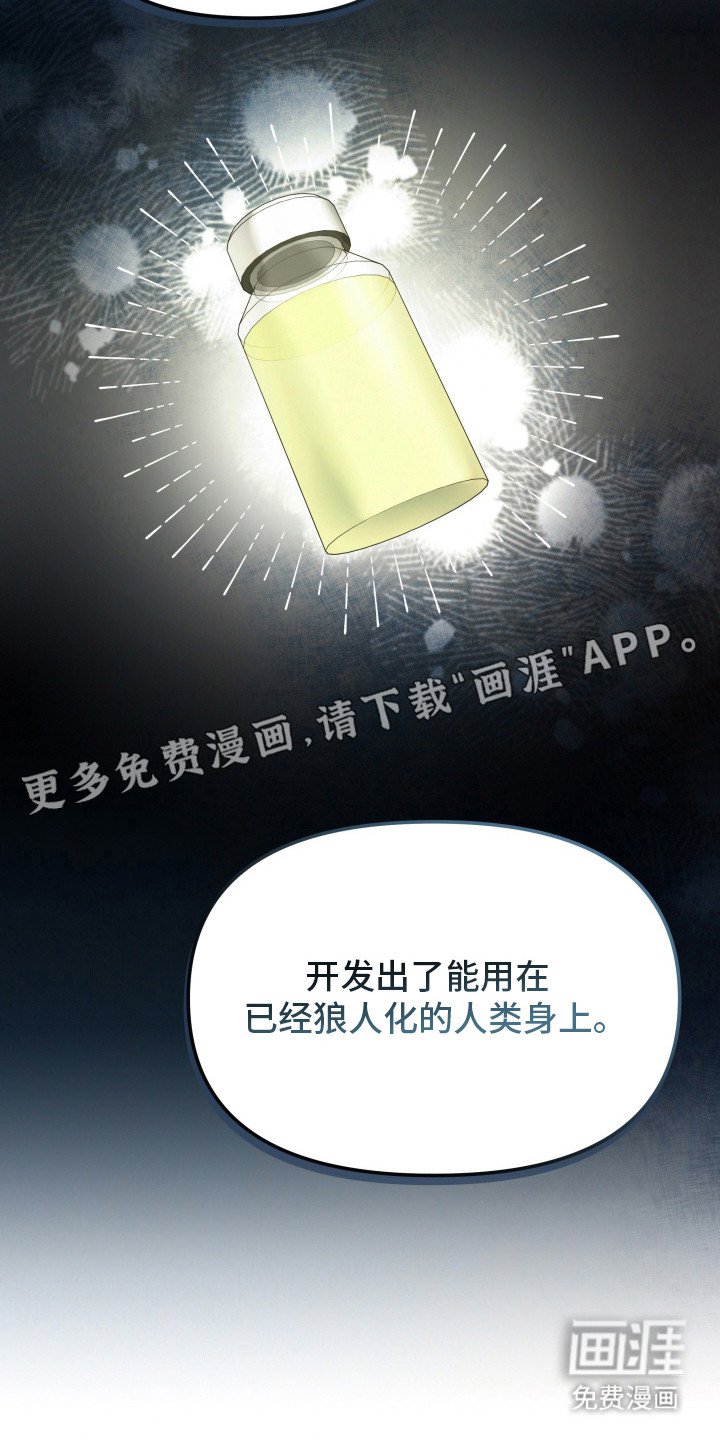 第6章：喜欢你