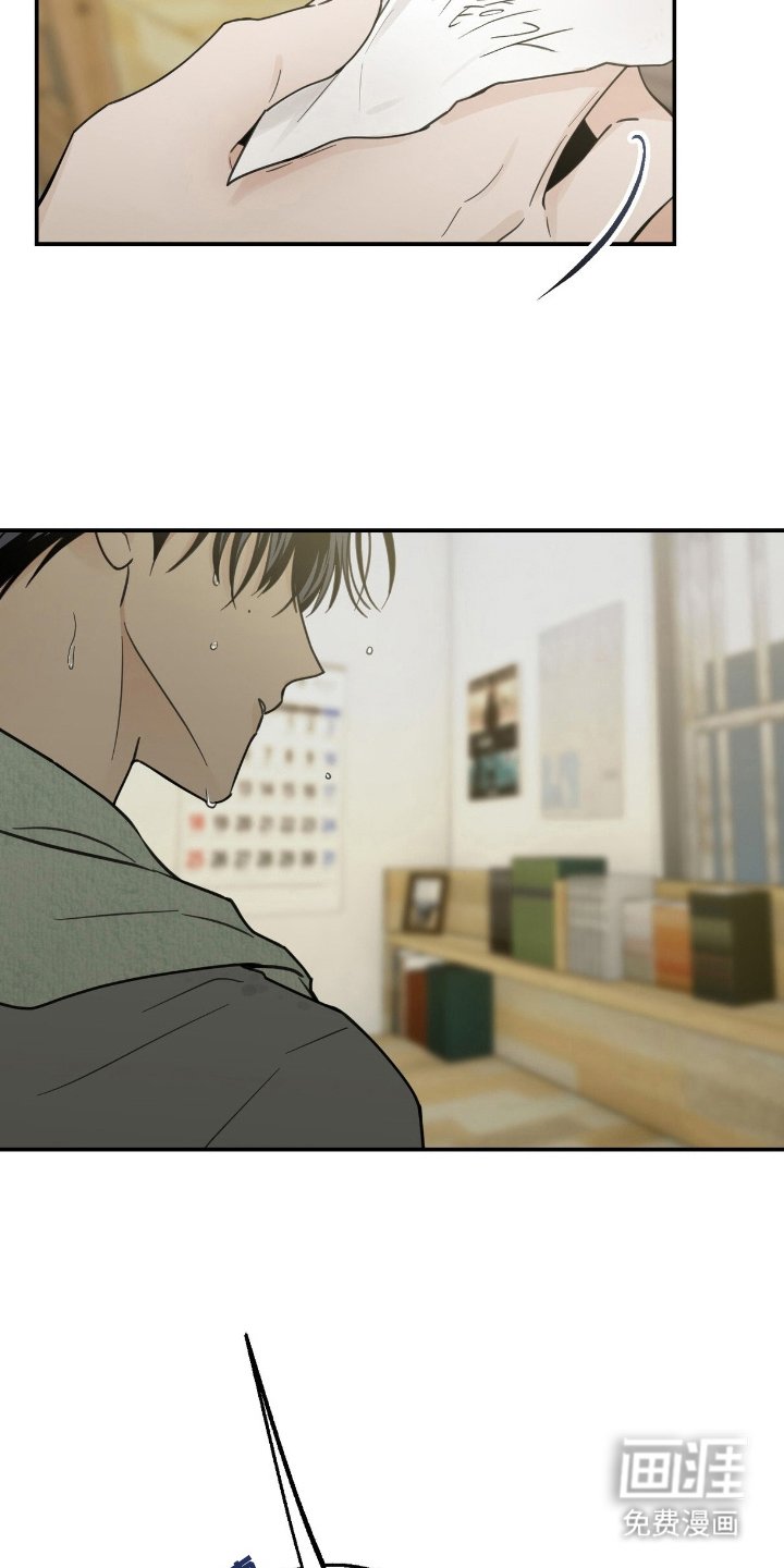 第17章：不是错觉