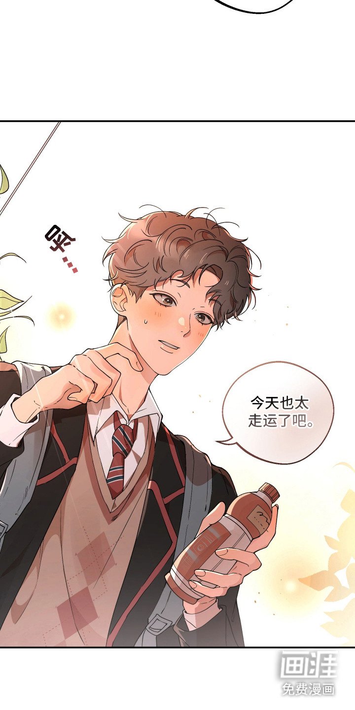 第1章：玩偶熊