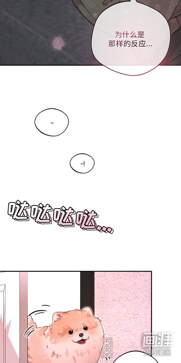 第12章：憔悴
