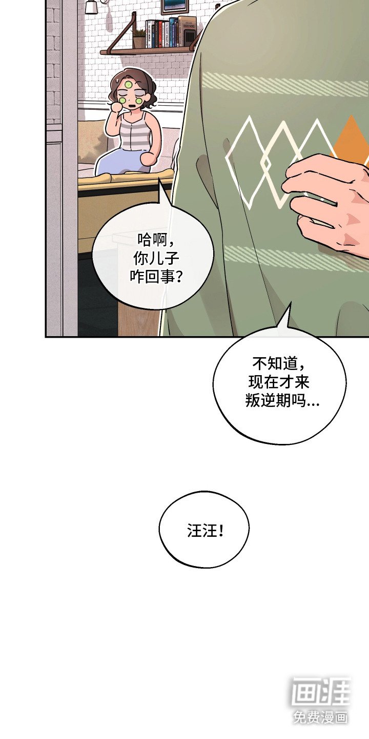 第12章：憔悴