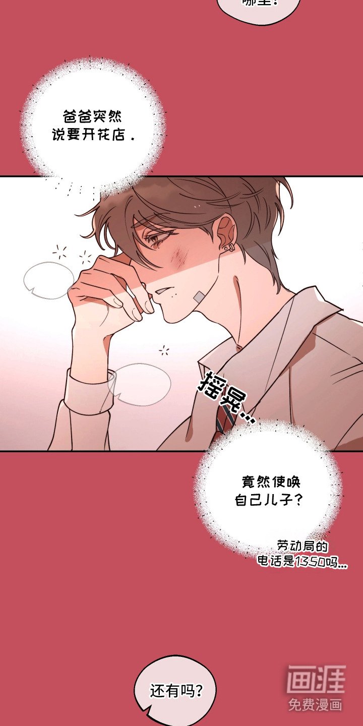 第6章：一见钟情