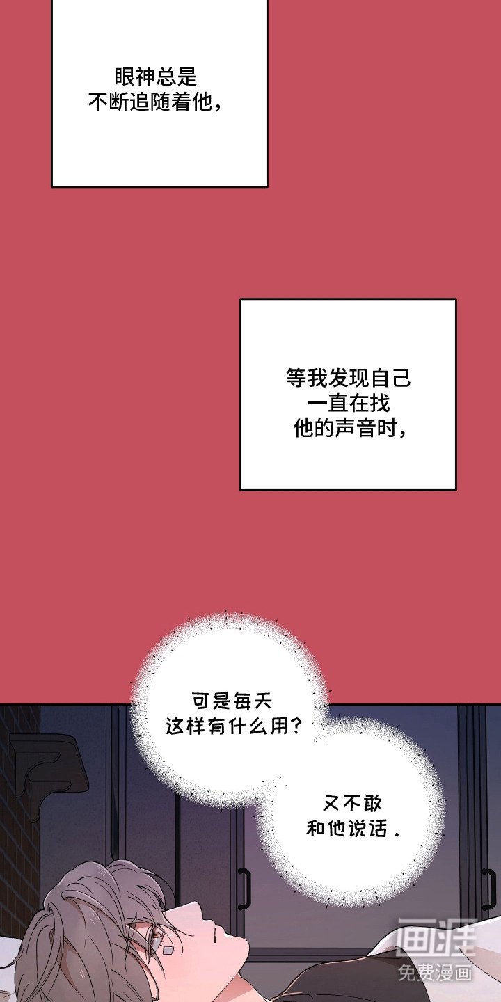 第6章：一见钟情