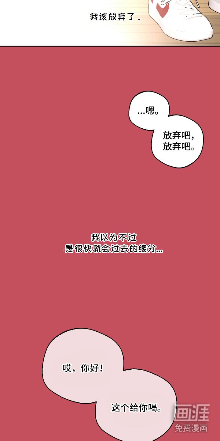 第6章：一见钟情