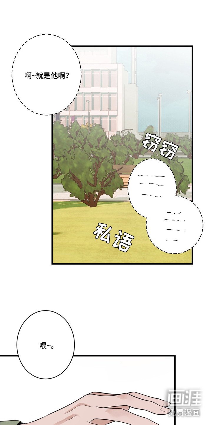 第1章：理想型
