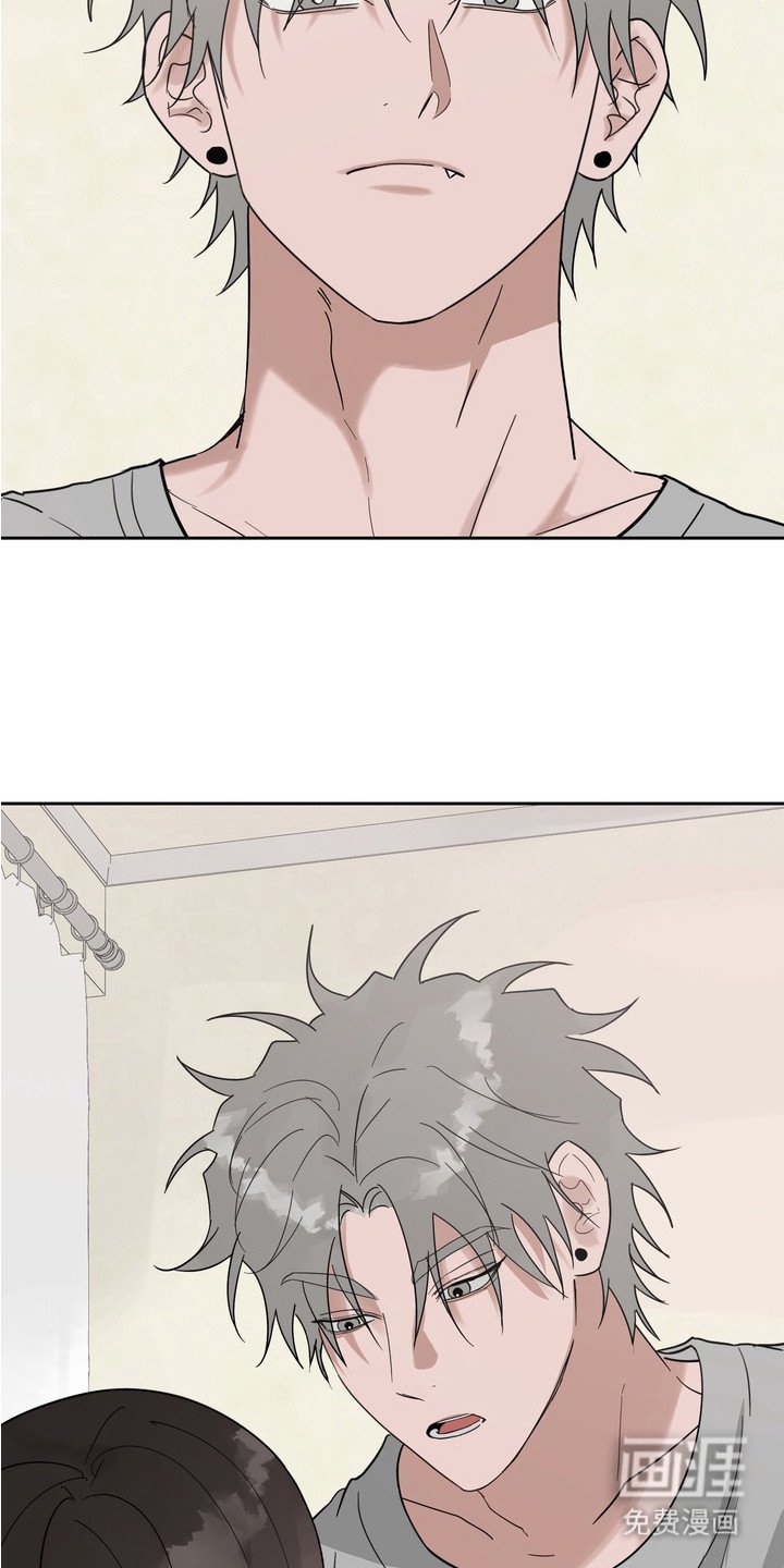 第14章：认真的