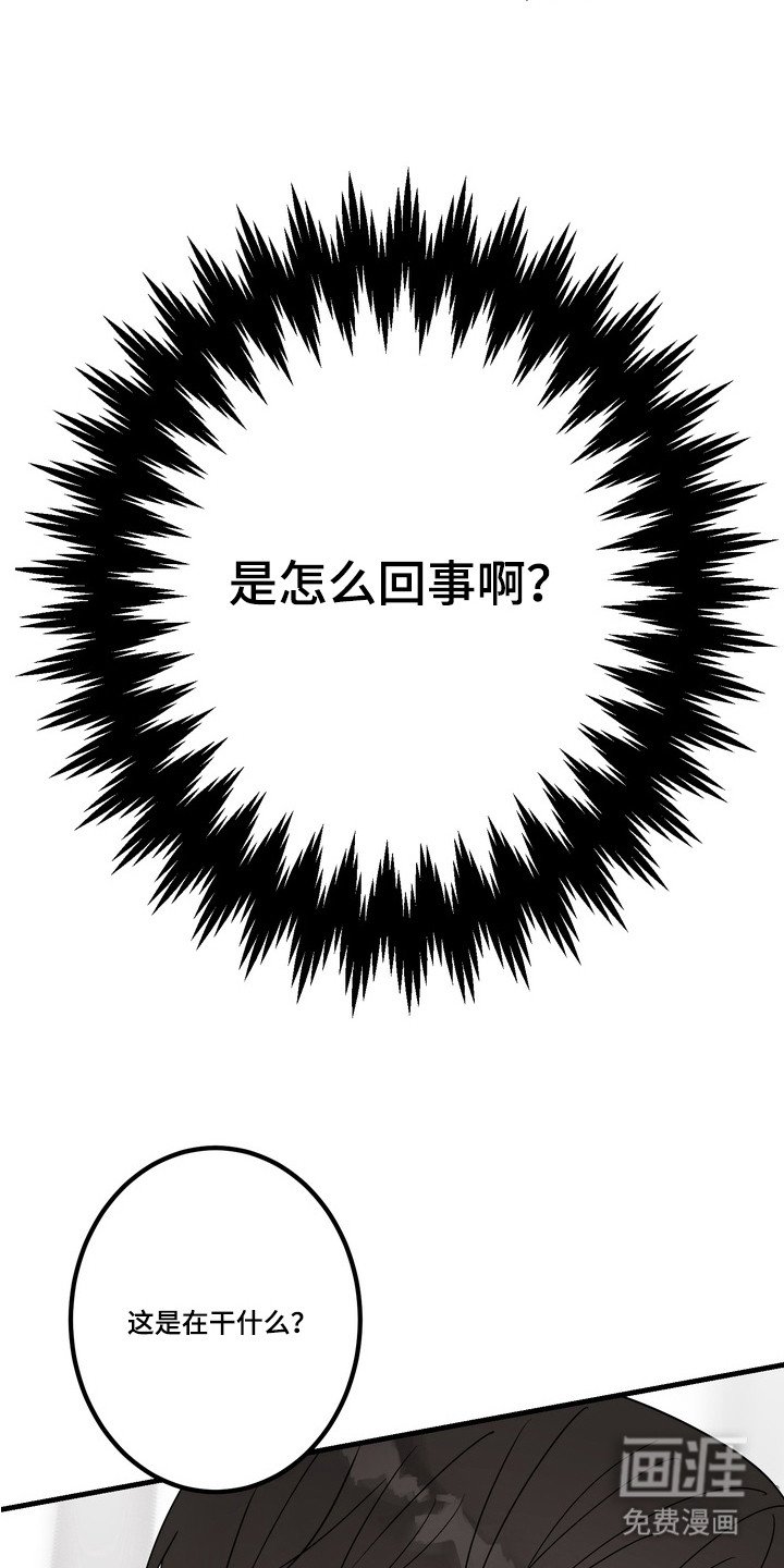 第3章：帮忙解决
