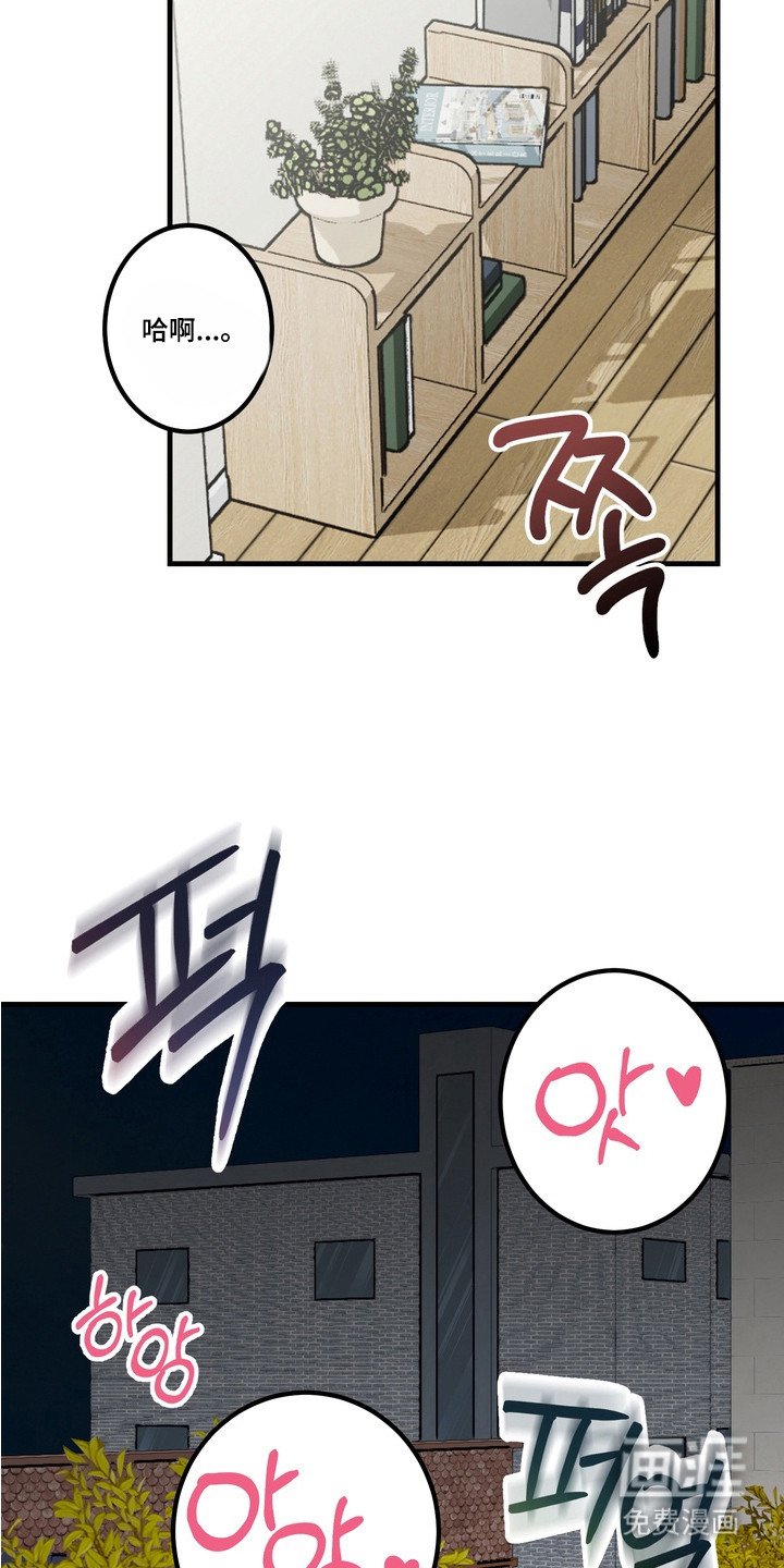 第6章：捉摸不透