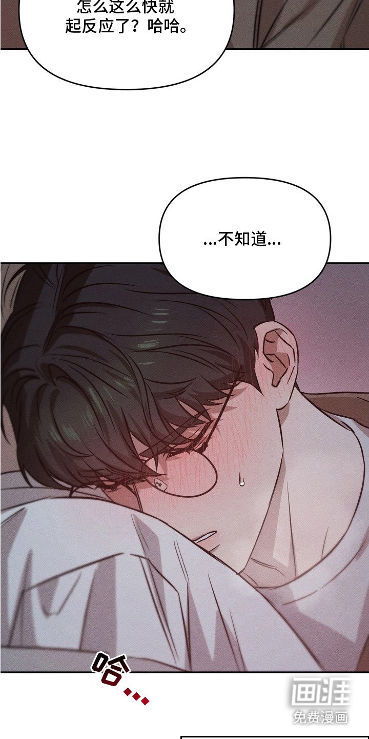 第13章：真心的（完结）