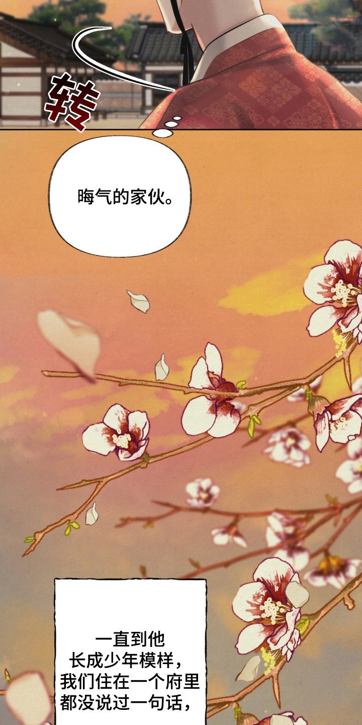 第3章：状元