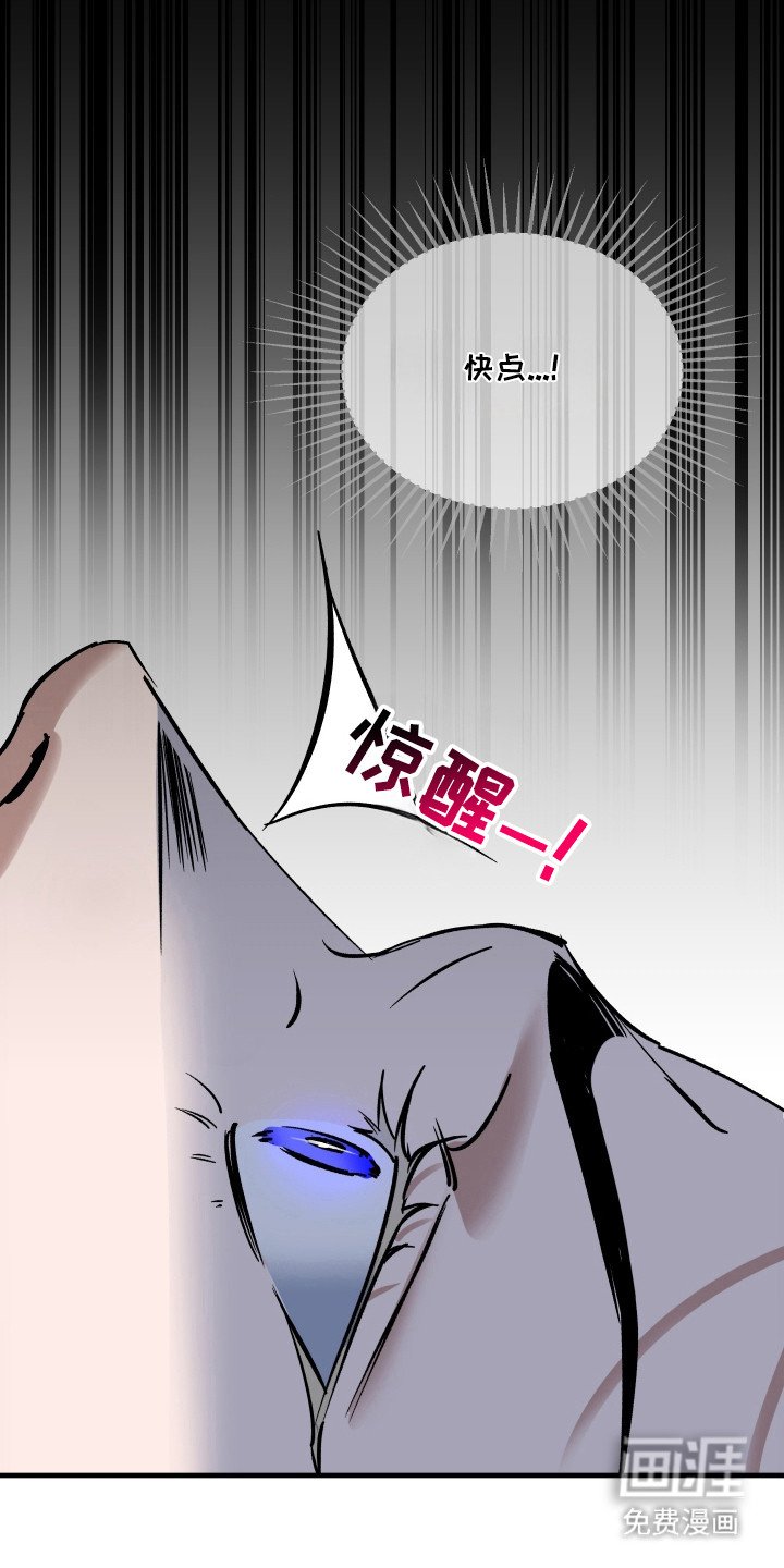 第11章：不老实
