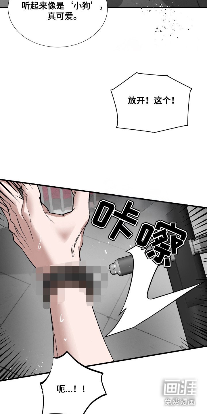 第12章：顶嘴