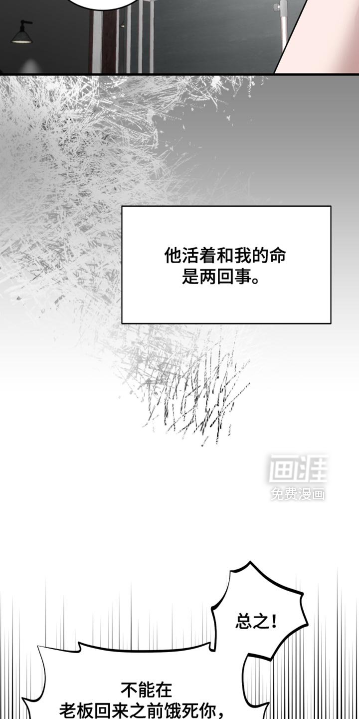 第26章：很适合你