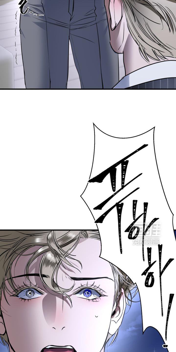 第28章：我真心的