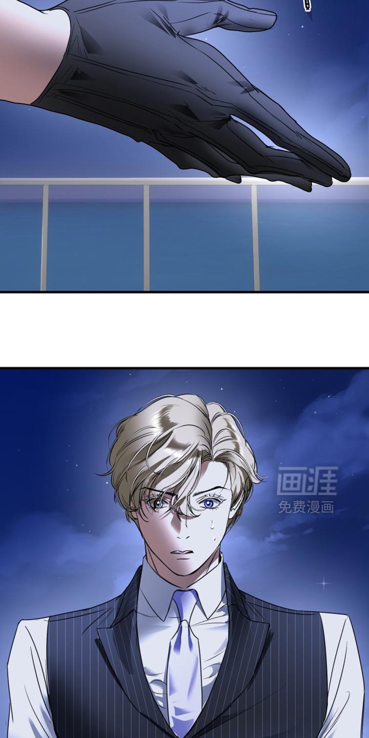 第28章：我真心的