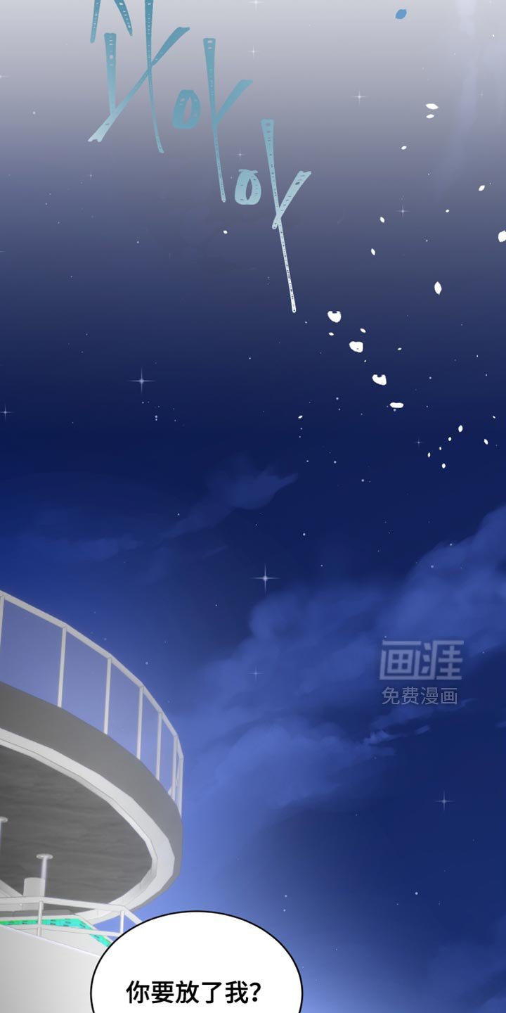 第28章：我真心的