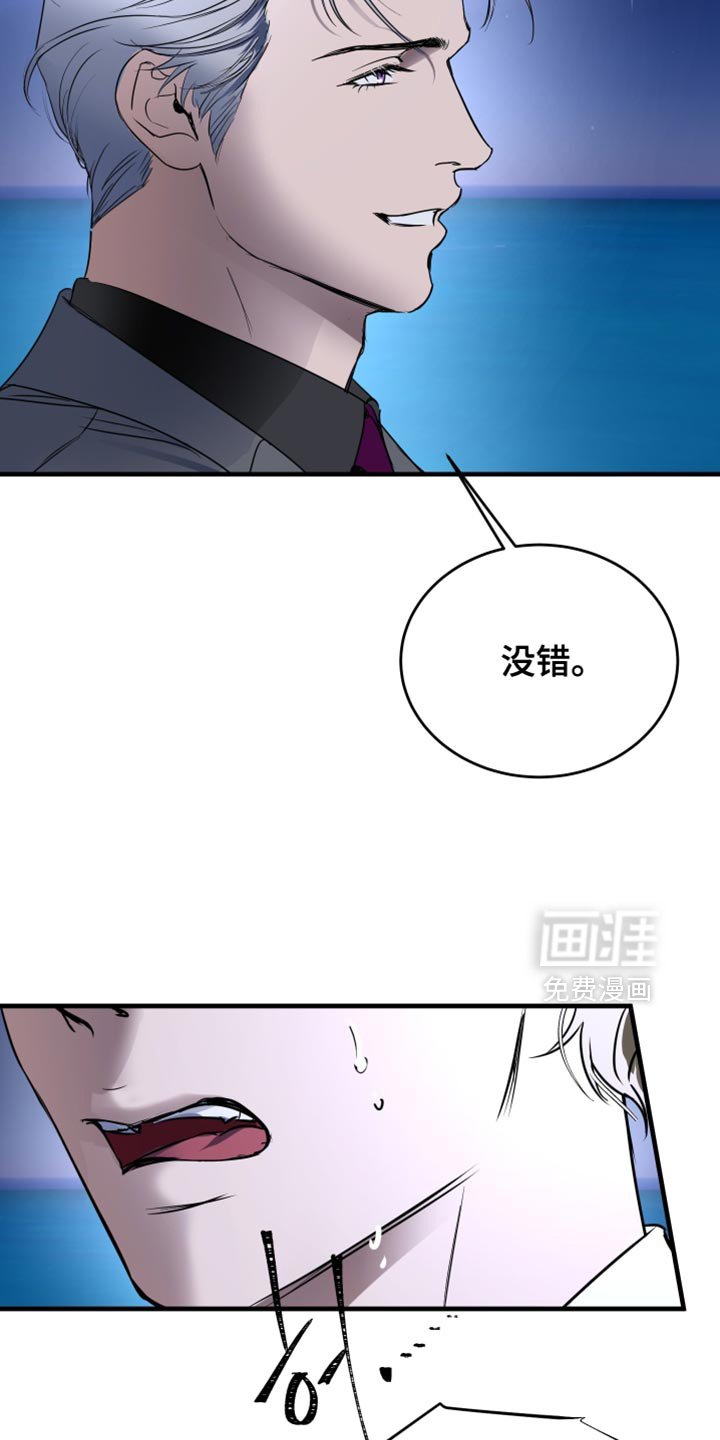 第28章：我真心的