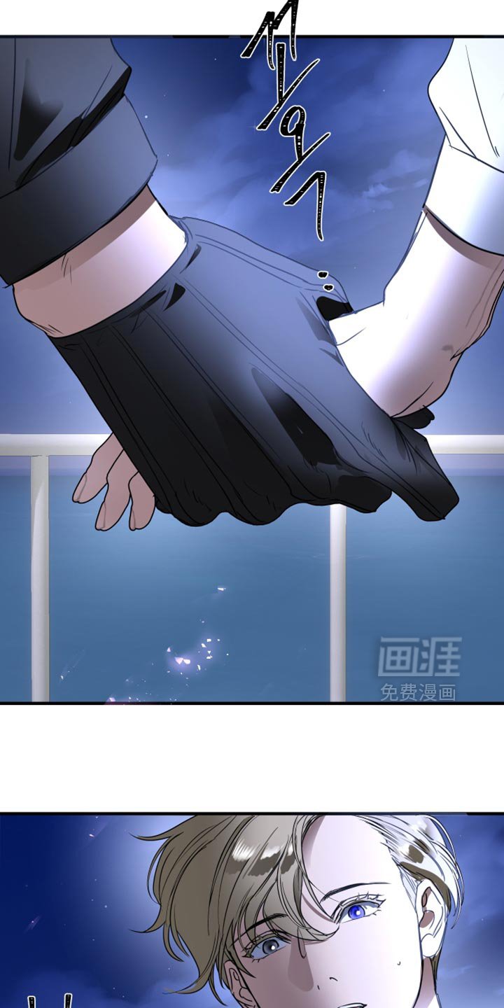 第28章：我真心的