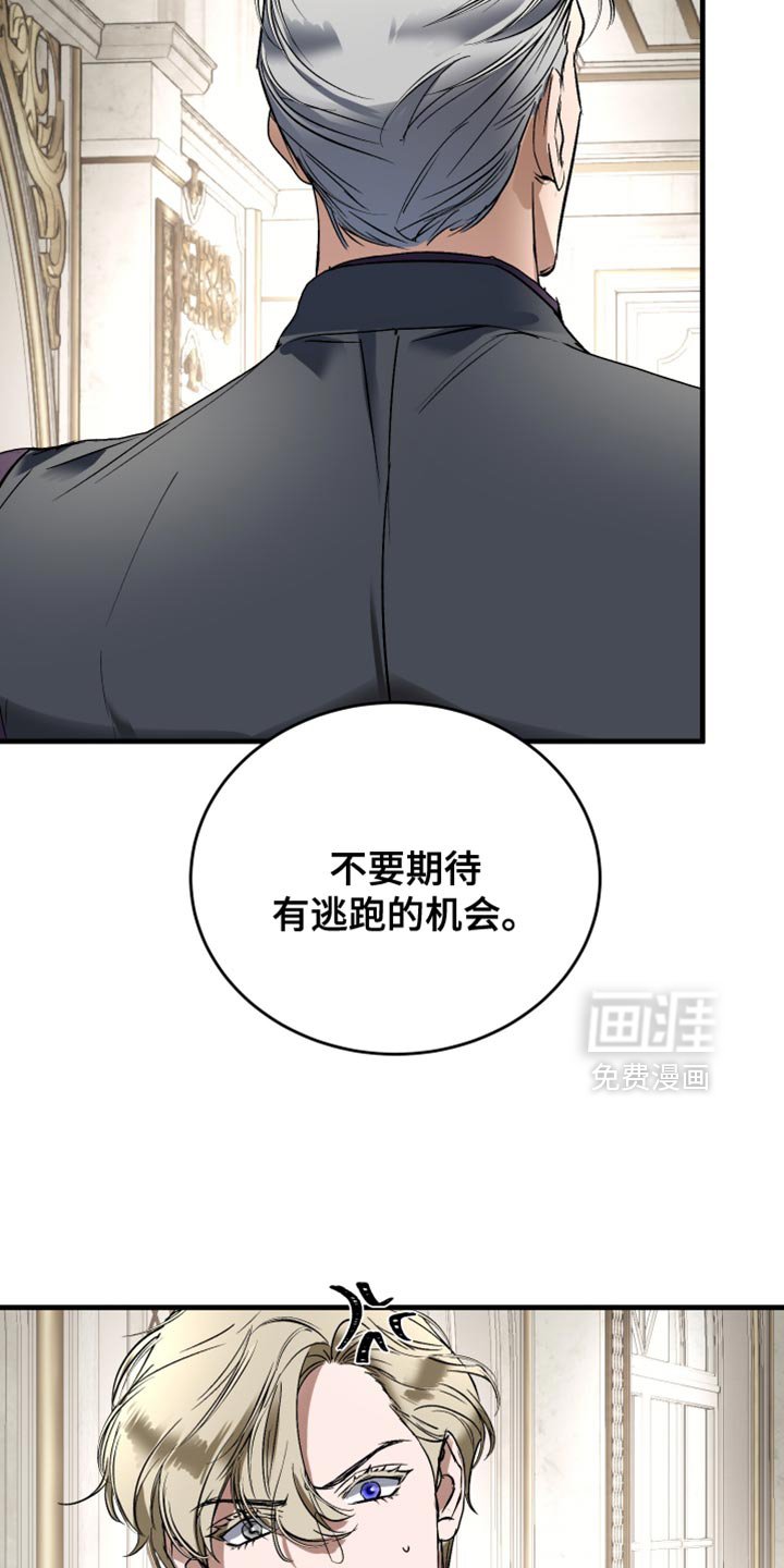 第29章：居心太明显了