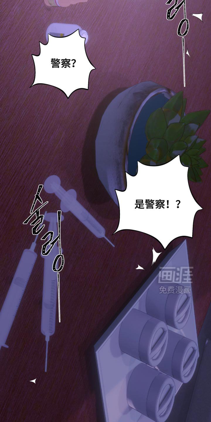 第34章：那就试试啊！