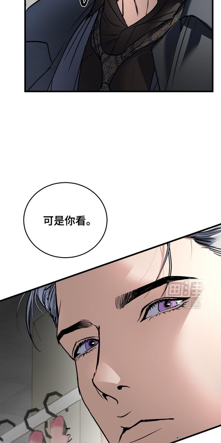 第40章：奇怪的鱼