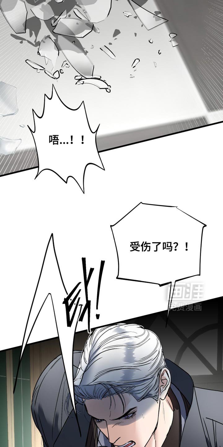 第41章：我没有用枪
