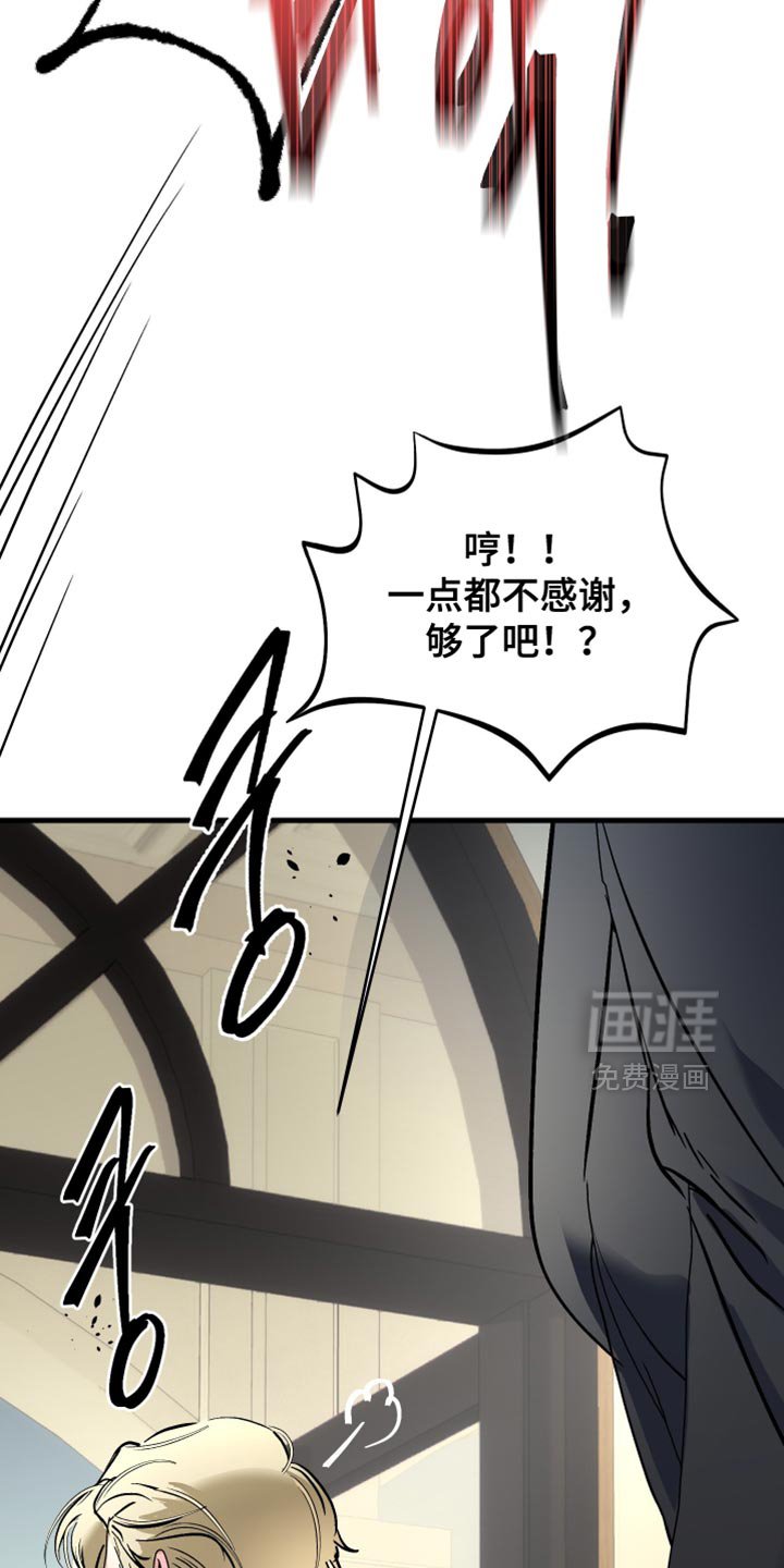 第41章：我没有用枪