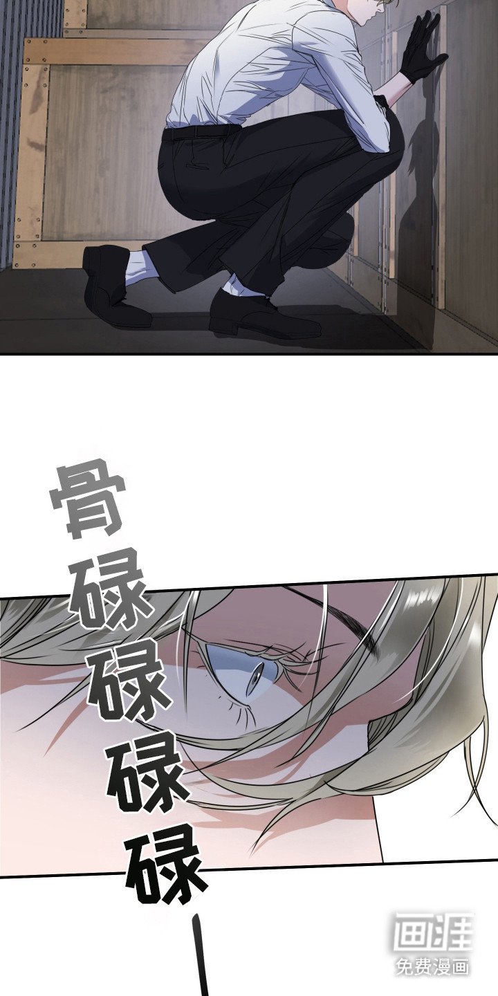 第5章：私下调查