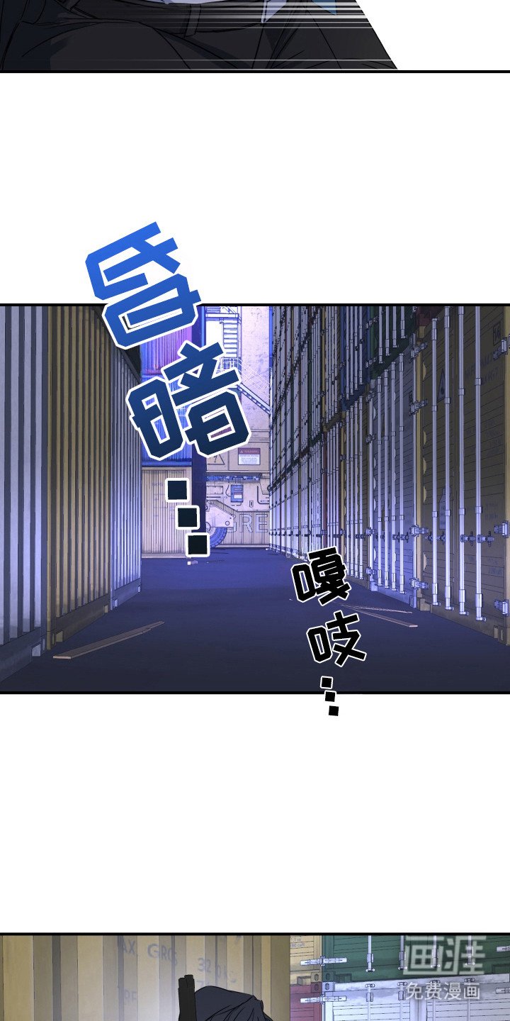 第5章：私下调查