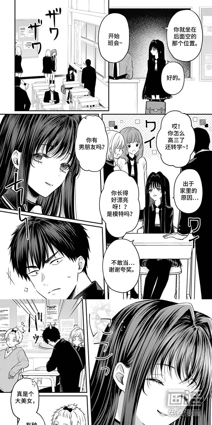 第13章：不准出手