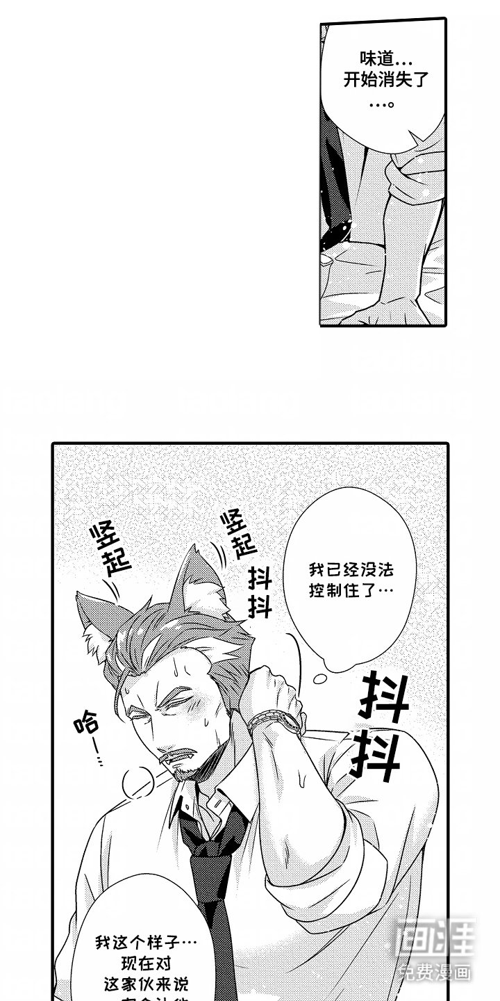 第10章：稳定