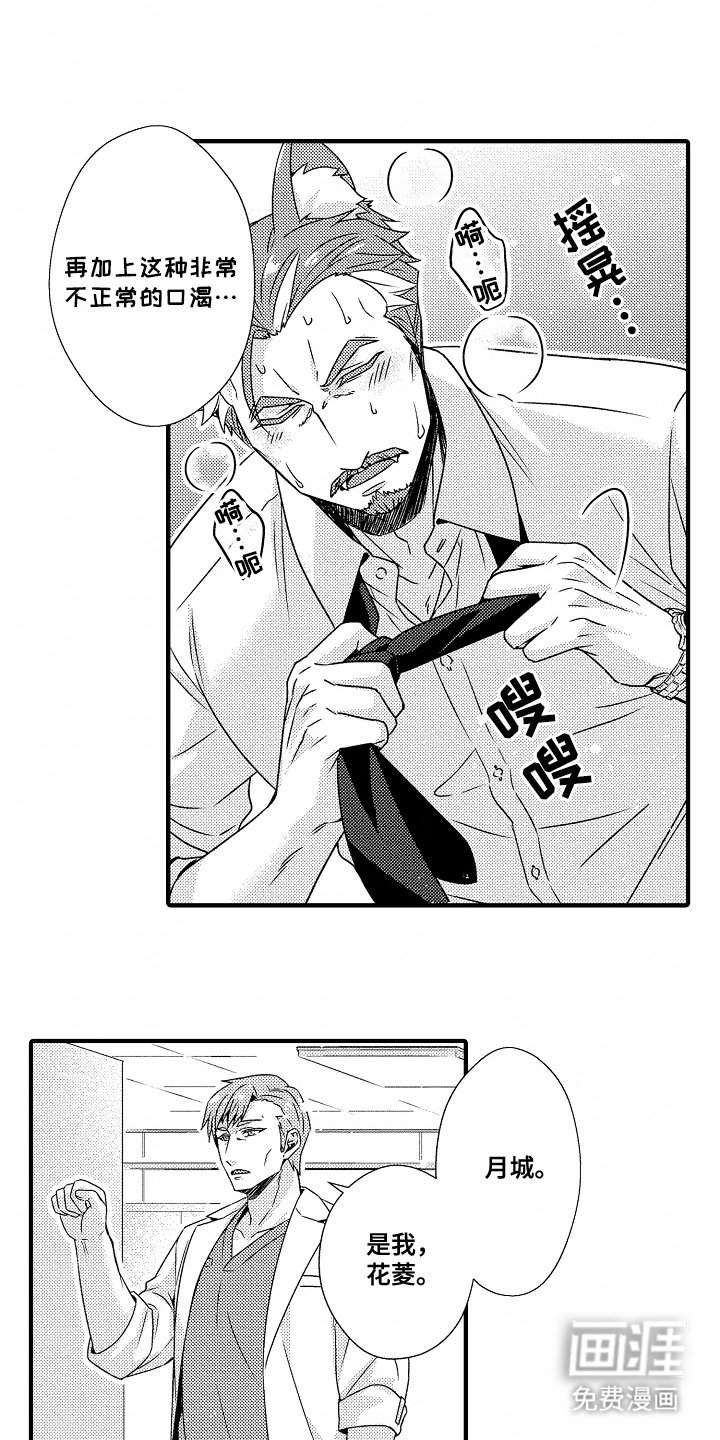 第10章：稳定